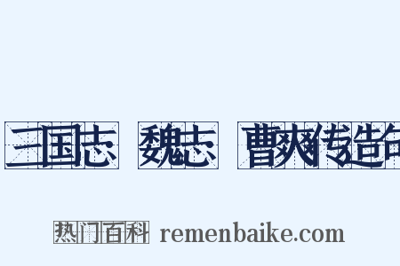三国志·魏志·曹爽传造句是什么意思的图片